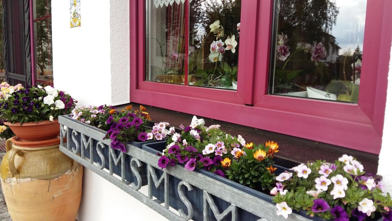 B & B Gaestehaus Schmidt Lichtenberg  Buitenkant foto